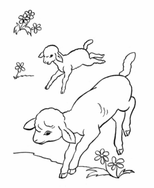 Disegno di pecora da stampare e colorare 36