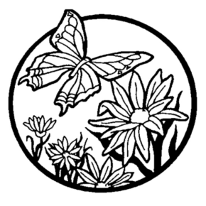 Disegno di farfalla da stampare e colorare 216