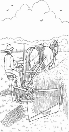 Disegno di agricoltore da stampare e colorare 15