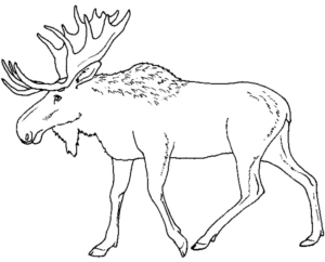 Disegno di alce da stampare e colorare 30