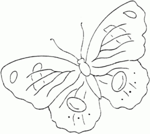 Disegno di farfalla da stampare e colorare 254