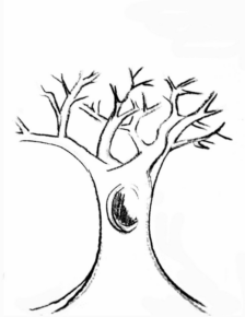 Disegno di albero da stampare e colorare 128