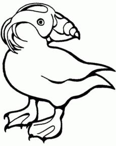 Disegno di tucano da stampare e colorare