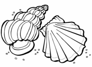Disegno di conchiglia da stampare e colorare 4