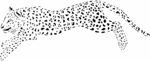 Disegno di leopardo da stampare e colorare 62