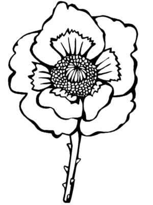 Disegno di fiore da stampare e colorare 121