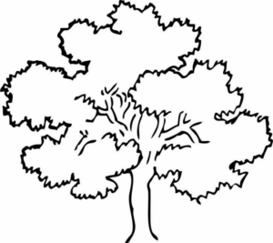 Disegno di albero da stampare e colorare 143