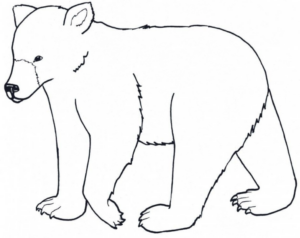 Disegno di orso polare da stampare e colorare 31