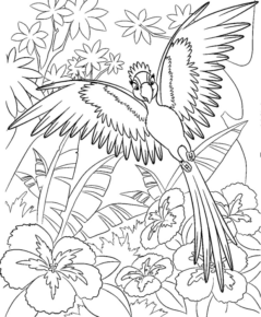 Disegno di pappagallo da stampare e colorare 112