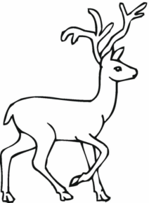 Disegno di cervo da stampare e colorare 37
