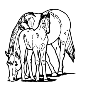 Disegno di cavallo da stampare e colorare 47