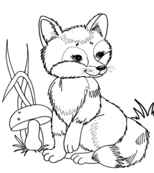 Disegno di volpe da stampare e colorare 87