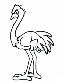 Disegno di struzzo da stampare e colorare 9