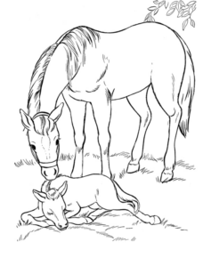 Disegno di cavallo da stampare e colorare 41