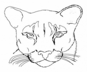 Disegno di leone da stampare e colorare 102