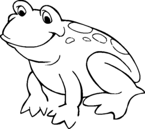 Disegno di rana da stampare e colorare 71