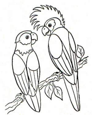 Disegno di pappagallo da stampare e colorare 133