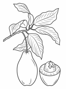 Disegno di mango da stampare e colorare 6