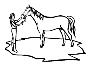 Disegno di cavallo da stampare e colorare 174