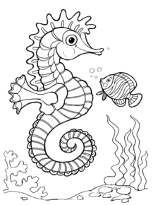 Disegno di cavalluccio marino da stampare e colorare 30