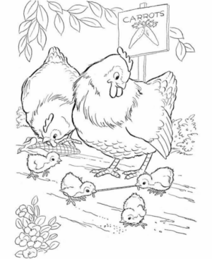 Disegno di gallina da stampare e colorare 12