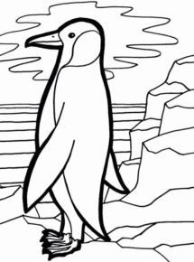 Disegno di pinguino da stampare e colorare 21