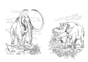 Disegno di mammut da stampare e colorare 3
