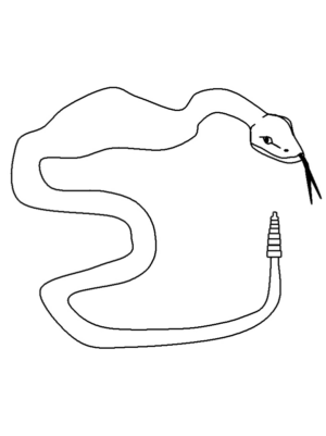 Disegno di serpente da stampare e colorare 15