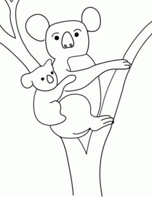 Disegno di koala da stampare e colorare 27