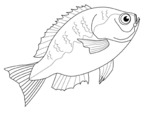 Disegno di pesce da stampare e colorare 319