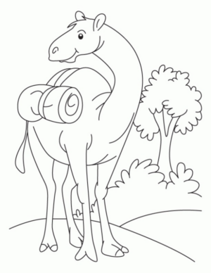 Disegno di dromedario da stampare e colorare 24