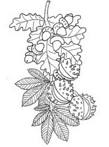 Disegno di pianta da stampare e colorare 22