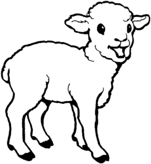 Disegno di pecora da stampare e colorare 7