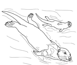 Disegno di lontra da stampare e colorare 18