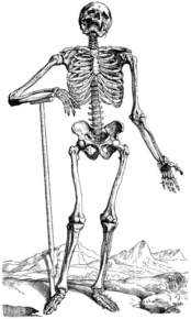 Disegno di parti del corpo da stampare e colorare 8