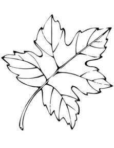 Disegno di foglia da stampare e colorare 172