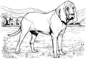 Disegno di cane da stampare e colorare 131