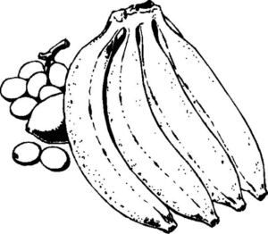 Disegno di banana da stampare e colorare 18