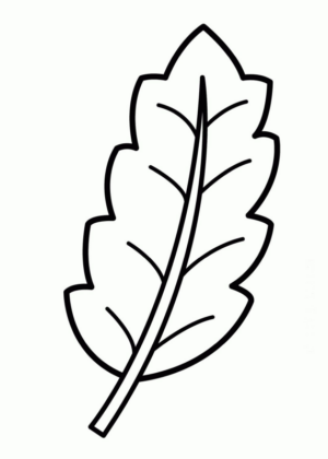 Disegno di foglia da stampare e colorare 2