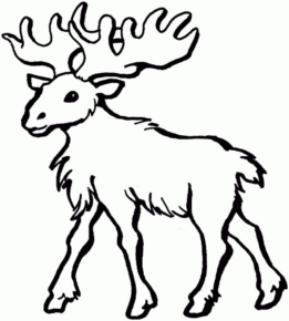 Disegno di alce da stampare e colorare 3
