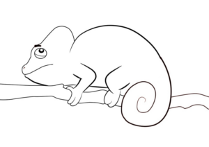 Disegno di camaleonte da stampare e colorare 4