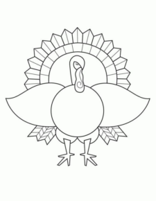 Disegno di tacchino da stampare e colorare 85