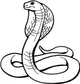 Disegno di serpente da stampare e colorare 25