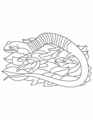 Disegno di lucertola da stampare e colorare