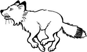 Disegno di volpe da stampare e colorare 1