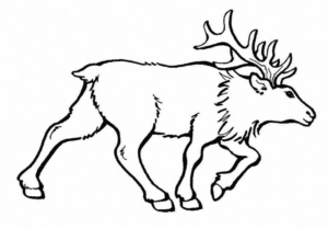 Disegno di renna da stampare e colorare 11