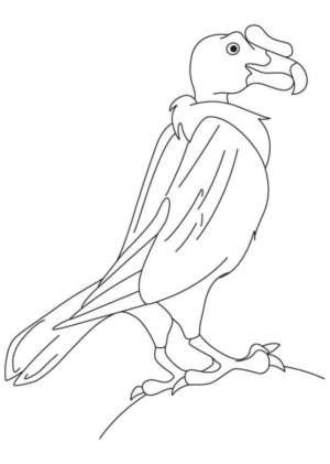 Disegno di uccello da stampare e colorare 7