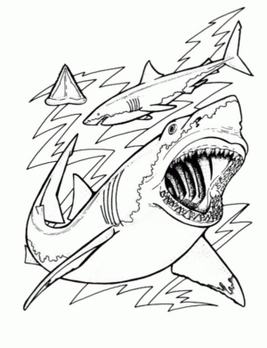 Disegno di squalo da stampare e colorare 56