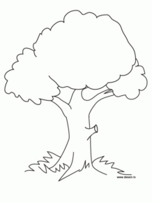 Disegno di albero da stampare e colorare 100