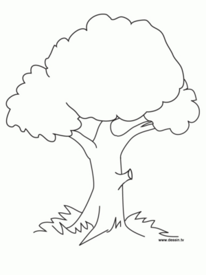Disegno di albero da stampare e colorare 100